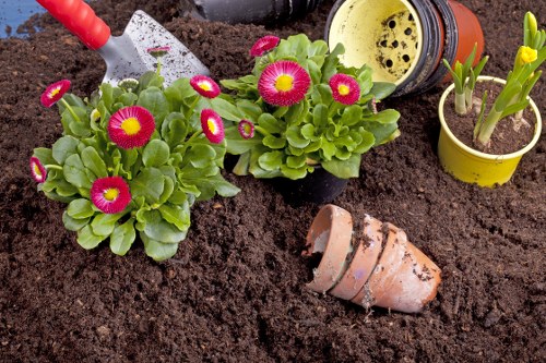 Gardener working on a small terraced front garden in Harlesden