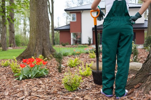 Team of Gardener Harlesden planning a garden project