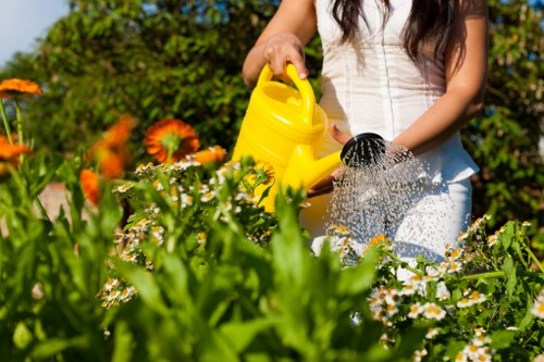 Professional gardeners at work in Harlesden
