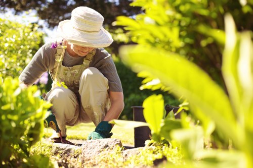 Eco-friendly gardening practices in Harlesden