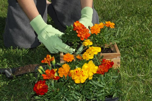 Seasonal garden maintenance by a Harlesden gardener